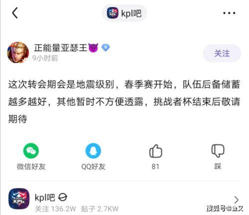 吃瓜有理报料无罪 爆料软件,揭秘爆料软件背后的真相