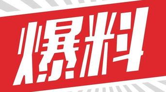 独家爆料官网,揭秘幕后真相，一探究竟！