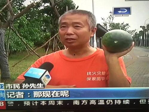 最近热门事件合集吃瓜,吃瓜群众必看合集